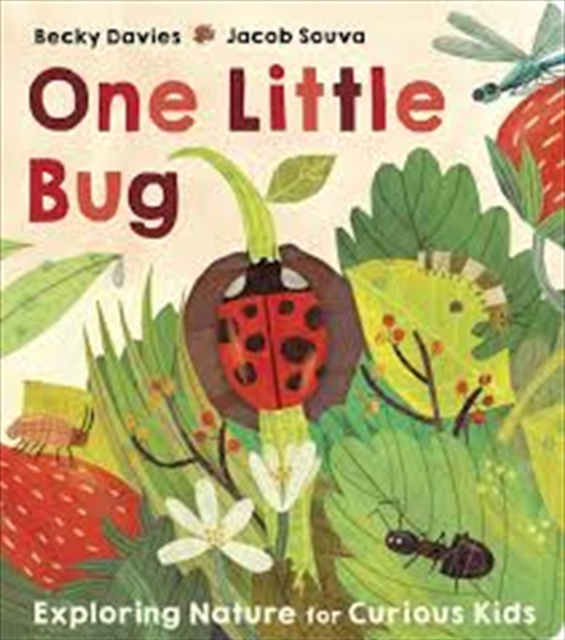 One Little Bug/Product Detail/Early Childhood Fiction Books