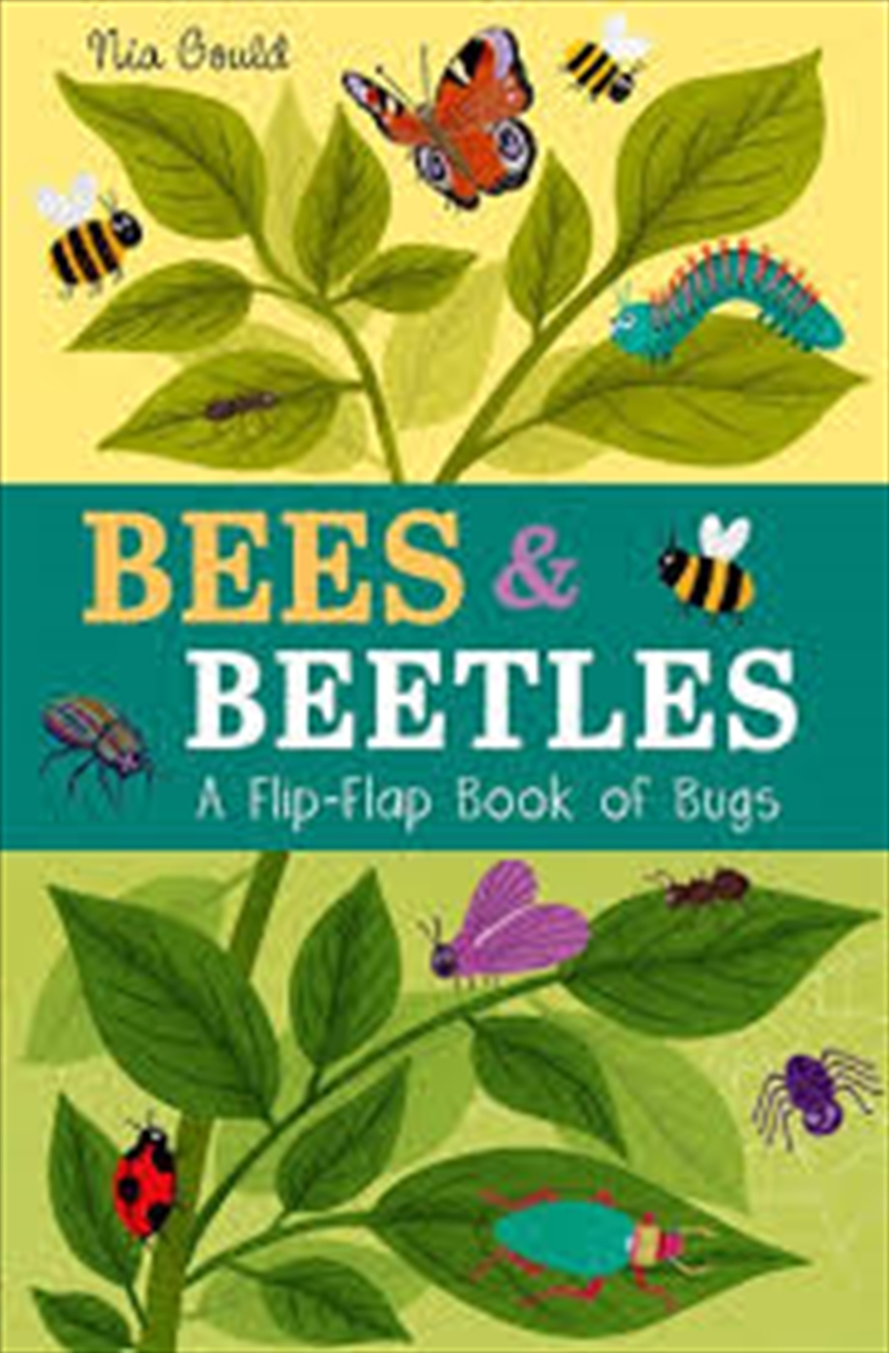 Bees & Beetles: A Flip-Flap Book/Product Detail/Early Childhood Fiction Books