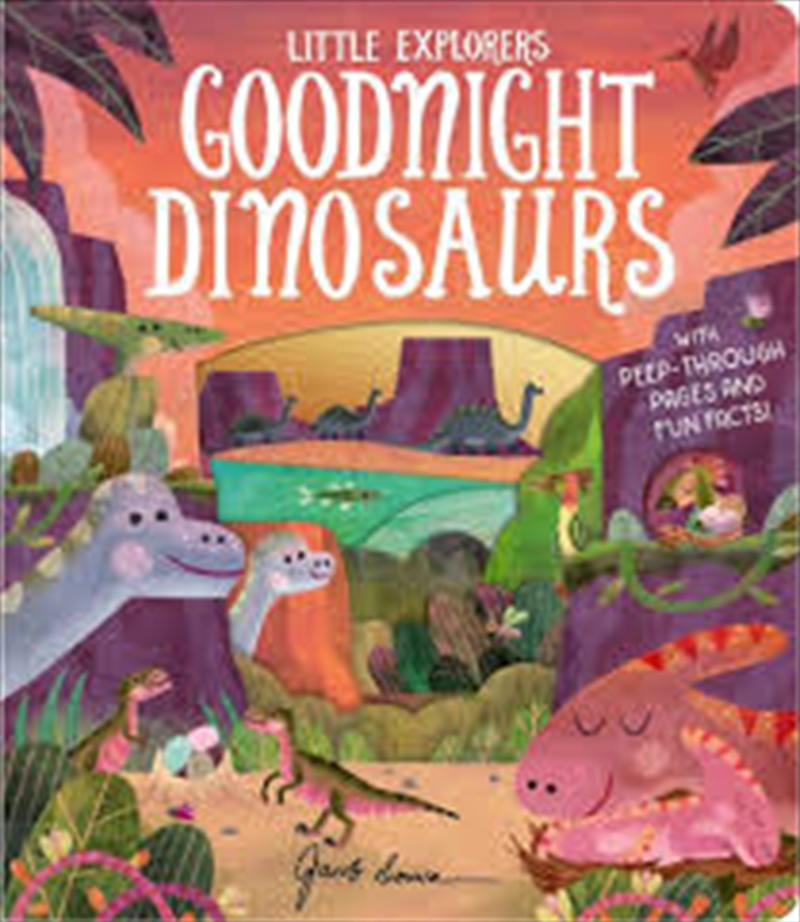 Little Explorers: Goodnight Dinosaurs/Product Detail/Early Childhood Fiction Books