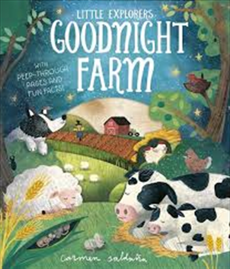 Little Explorers: Goodnight Farm/Product Detail/Early Childhood Fiction Books