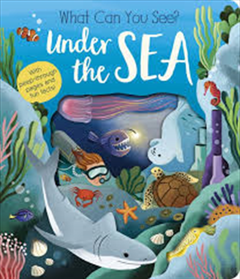 What Can You See? Under The Sea/Product Detail/Early Childhood Fiction Books