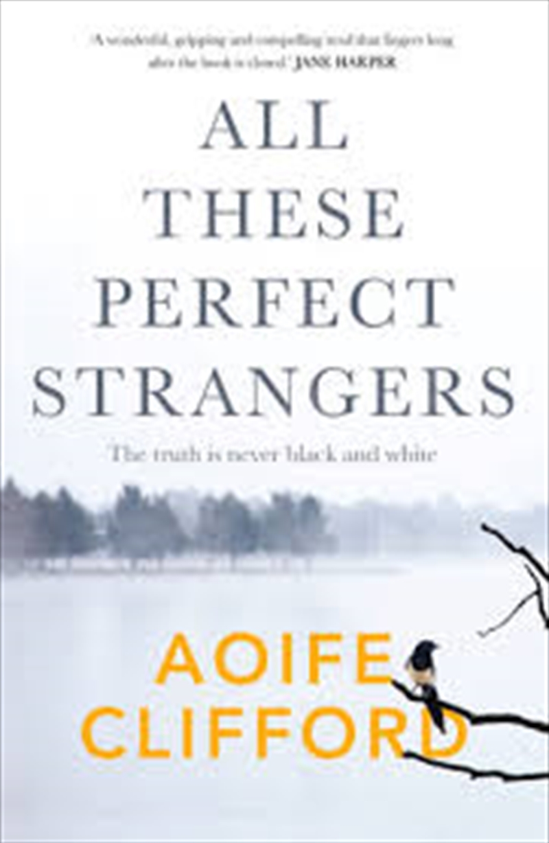 All These Perfect Strangers/Product Detail/Crime & Mystery Fiction