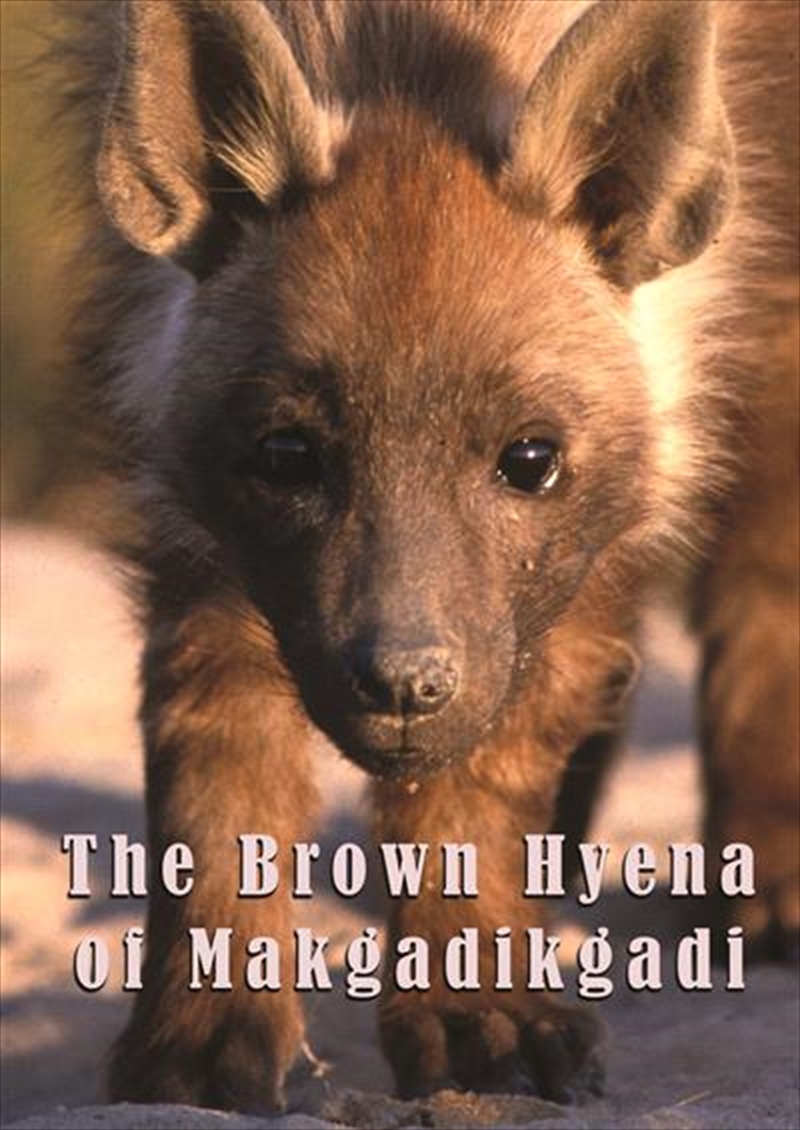 Brown Hyena Of Makgadikgadi (REGION 1)/Product Detail/Documentary