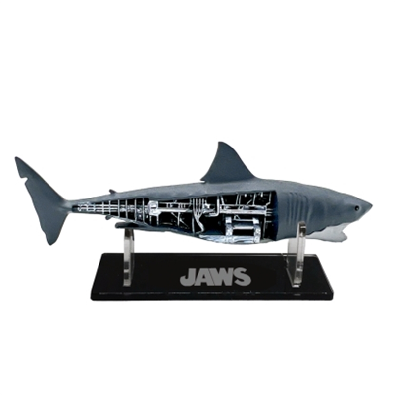 Jaws - Mechanical Bruce Shark Scaled Replica/Product Detail/Replicas