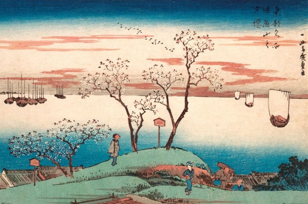 Hiroshige Cherry Blossom/Product Detail/Posters & Prints