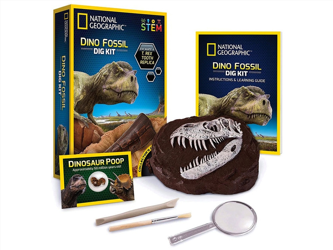 Dino Fossil Dig Kit Ng/Product Detail/STEM Toys & Kits