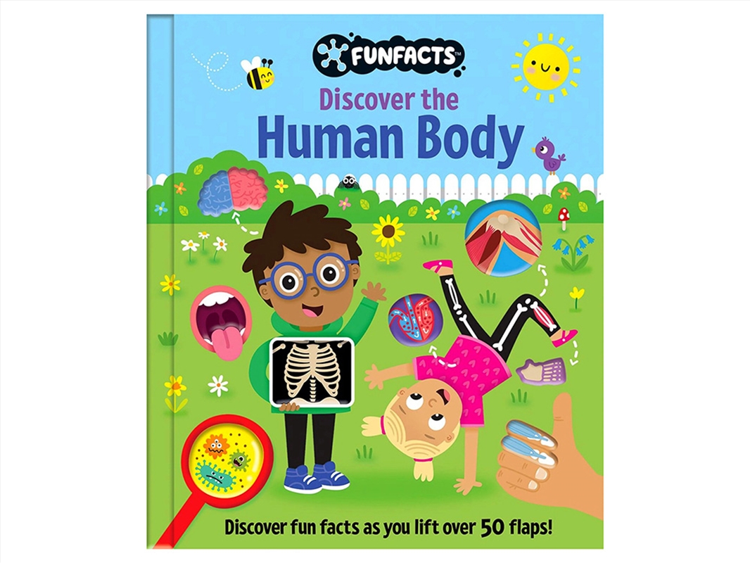 Human Body Lift The Flap/Product Detail/Early Childhood Fiction Books