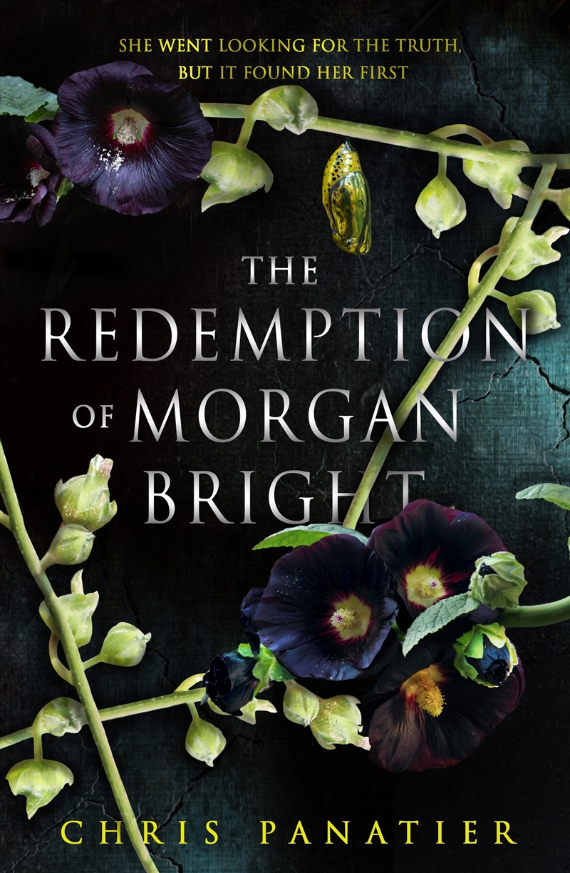 The Redemption of Morgan Bright/Product Detail/Science Fiction Books