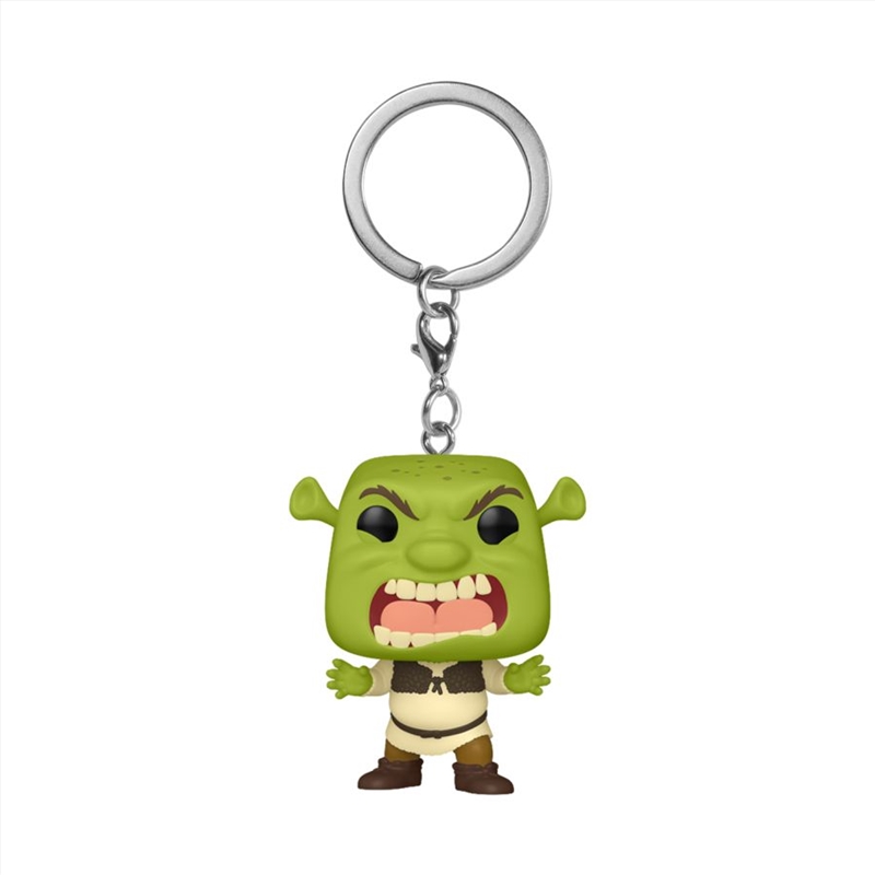 Shrek - Scary Shrek (DreamWorks 30th Anniversary) US Exclusive Pop! Keychain [RS]/Product Detail/Pop Vinyl Keychains