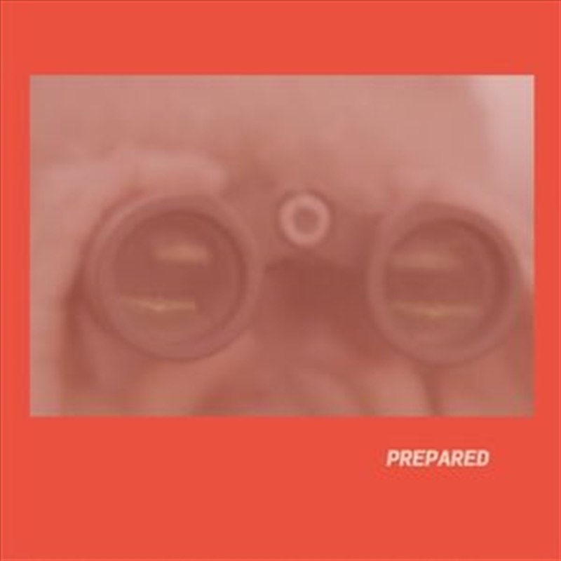 Prepared - Rose Pink Vinyl/Product Detail/Rock/Pop