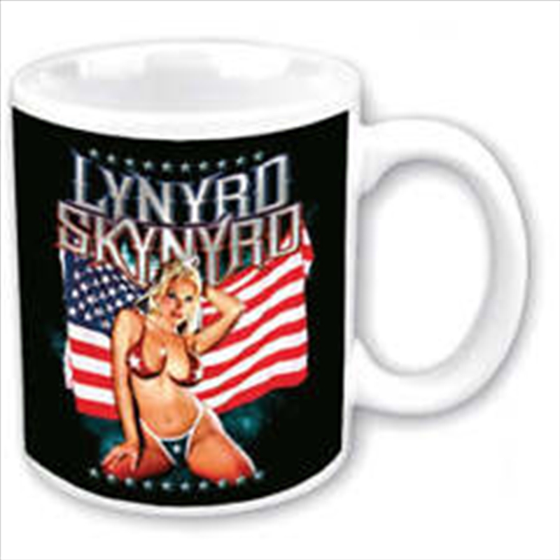 Lynyrd Skynyrd Boxed Standard Mug: American Flag/Product Detail/Mugs