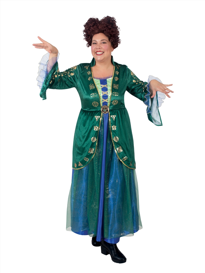 Winifred Sanderson Hocus Pocus Costume - Size L/Product Detail/Costumes