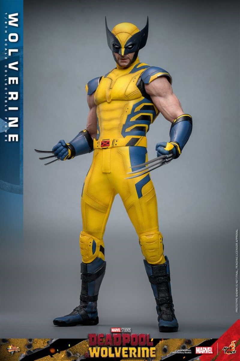 Deadpool & Wolverine - Wolverine 1:6 Figure/Product Detail/Figurines