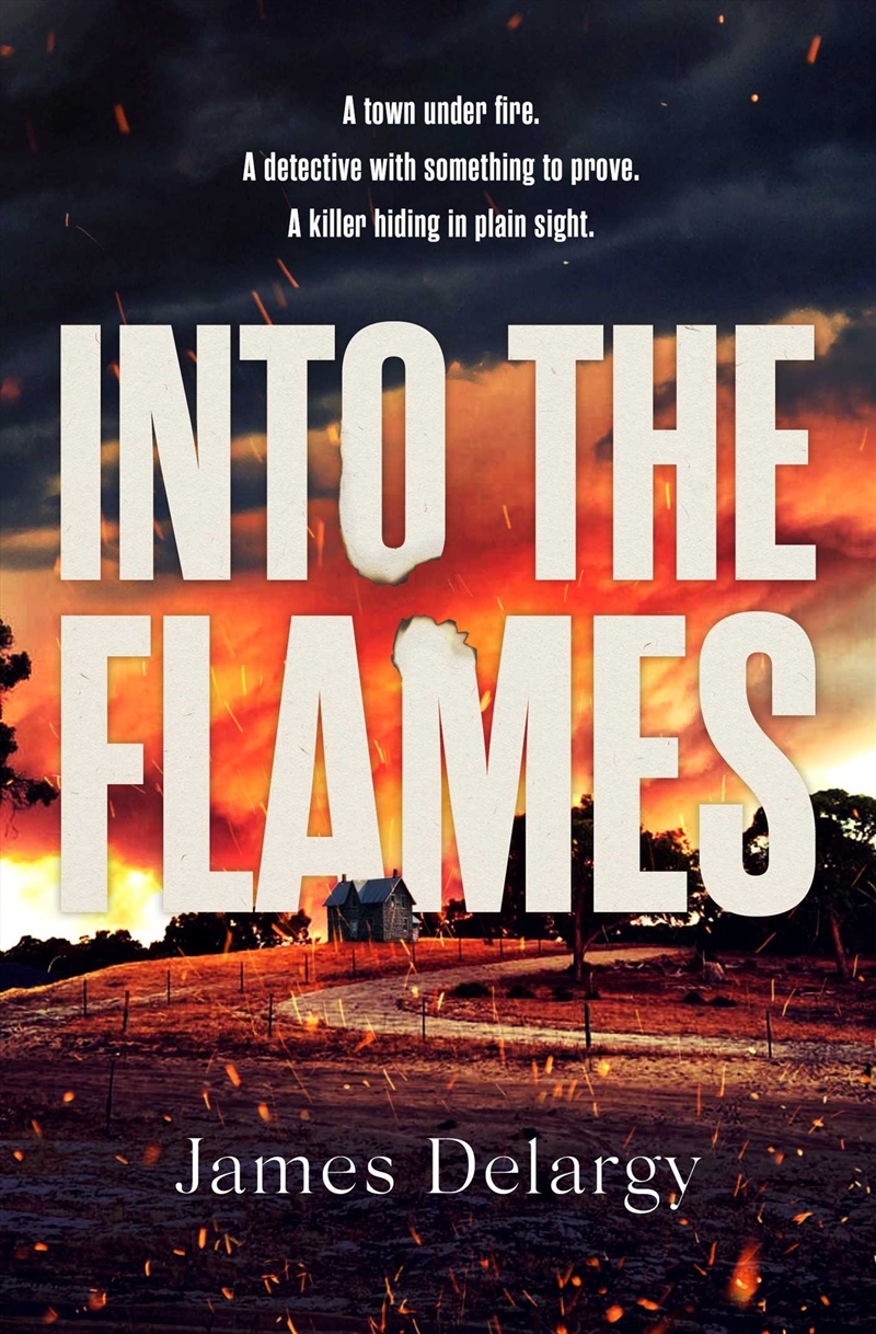 Into the Flames/Product Detail/Thrillers & Horror Books