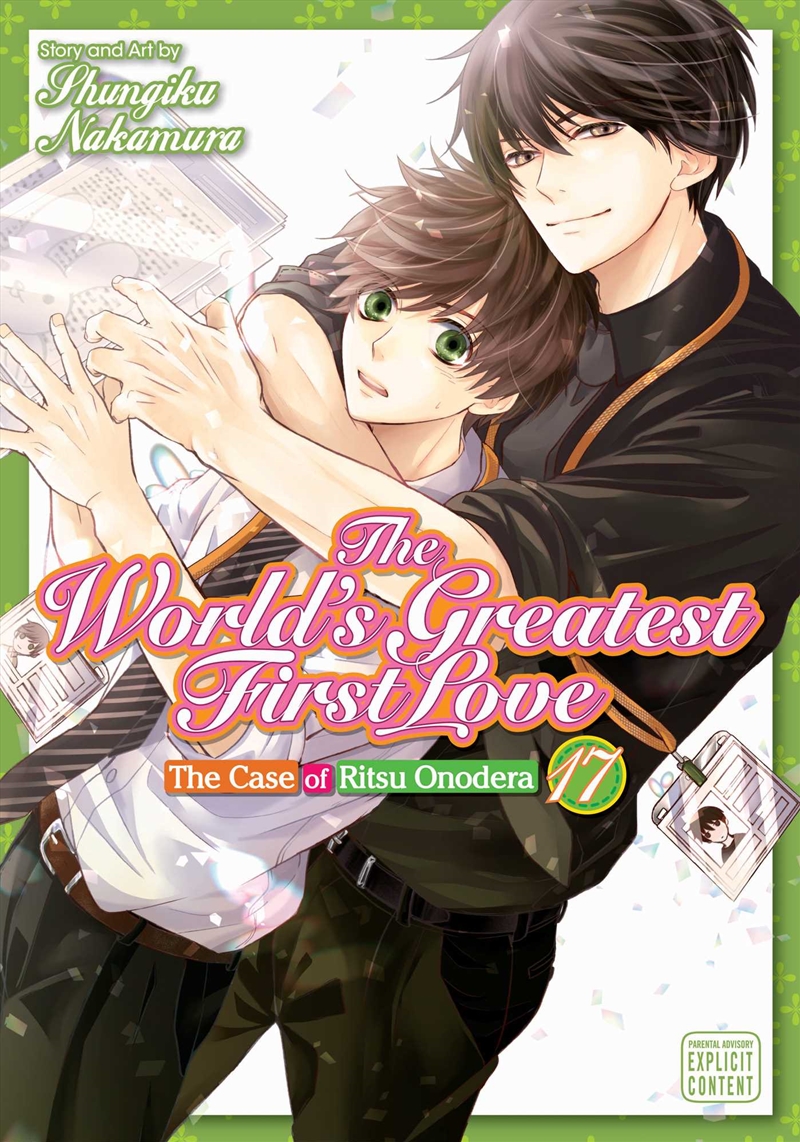 World's Greatest First Love, Vol. 17/Product Detail/Manga