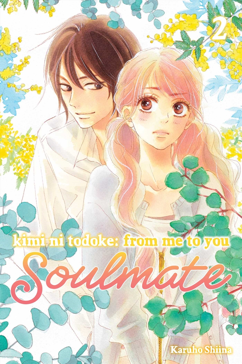 Kimi ni Todoke: From Me to You: Soulmate, Vol. 2/Product Detail/Manga