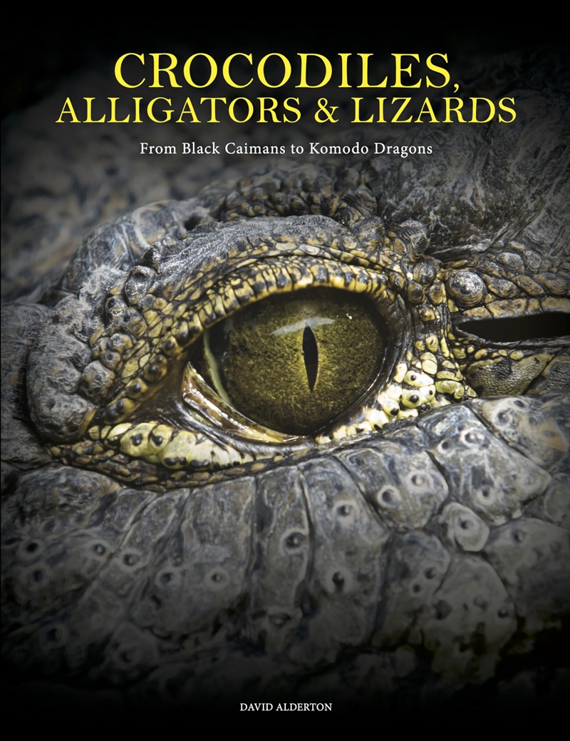 Crocodiles, Alligators & Lizards: From Black Caimans to Komodo Dragons/Product Detail/Animals & Nature