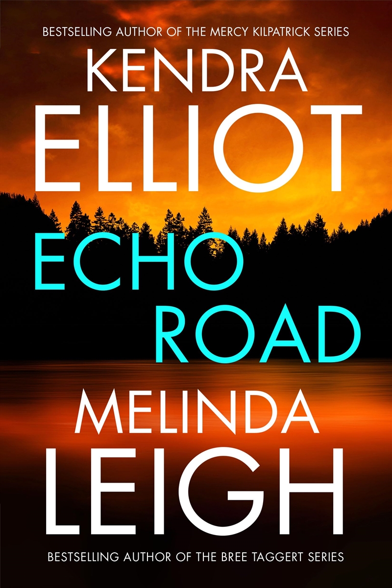 Echo Road/Product Detail/Crime & Mystery Fiction