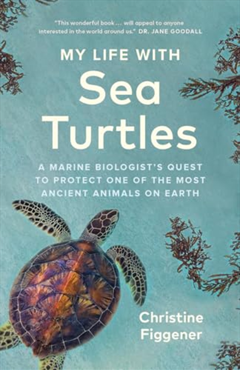 My Life with Sea Turtles: A Marine Biologist’s Quest to Protect One of the Most Ancient Animals on E/Product Detail/Animals & Nature