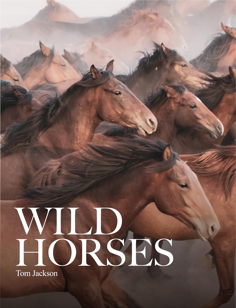 Wild Horses/Product Detail/Animals & Nature