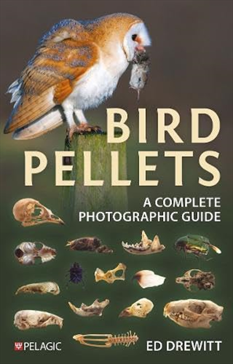 Bird Pellets: A Complete Photographic Guide/Product Detail/Animals & Nature