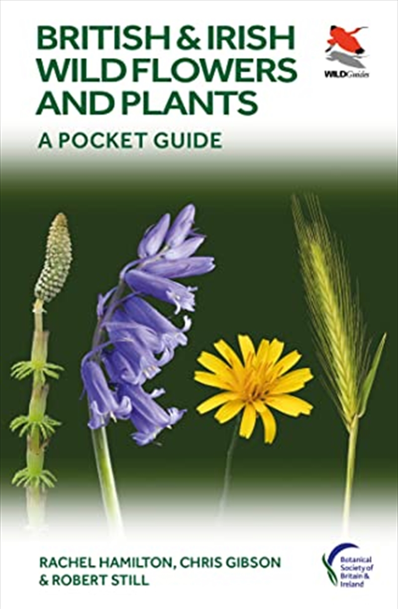 British and Irish Wild Flowers and Plants: A Pocket Guide (WILDGuides, 117)/Product Detail/Animals & Nature