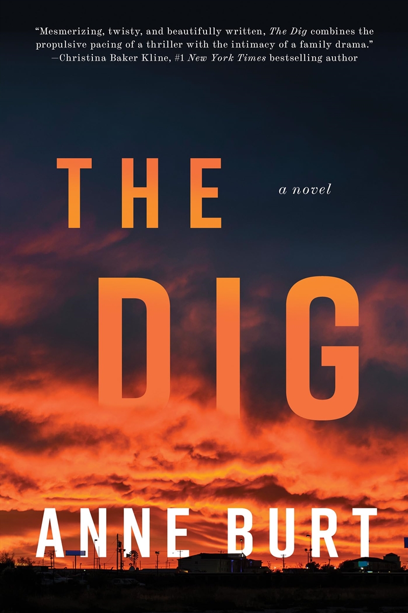 The Dig/Product Detail/Crime & Mystery Fiction