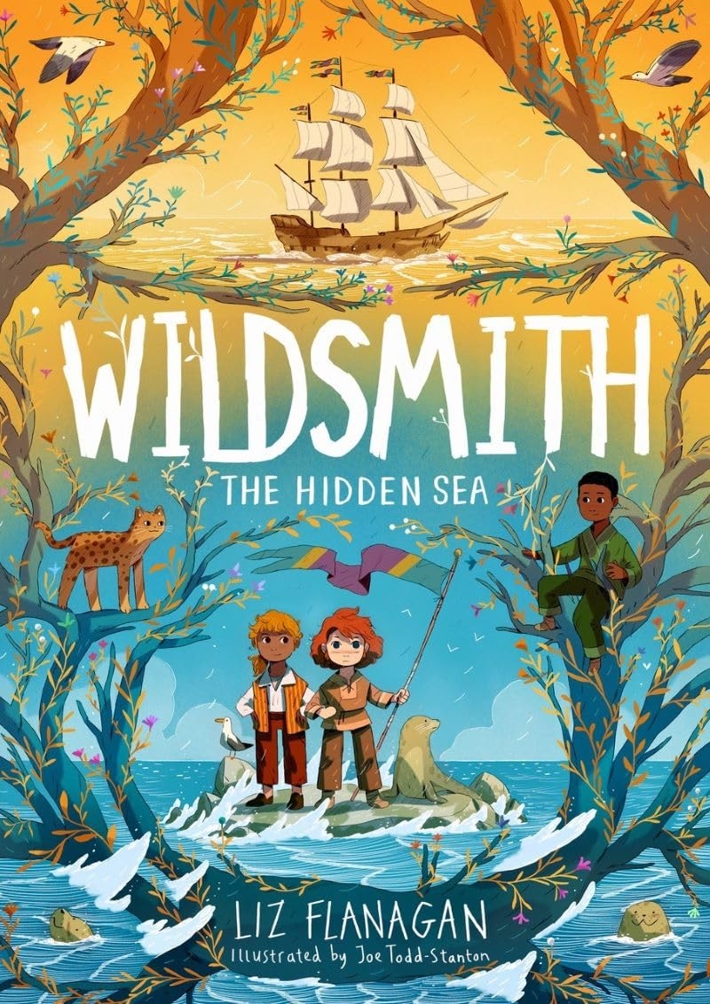 The Hidden Sea/Product Detail/Childrens Fiction Books