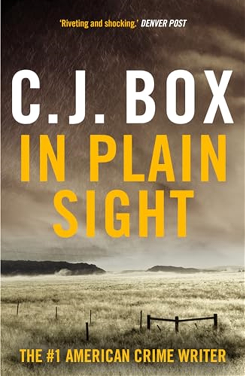 In Plain Sight/Product Detail/Crime & Mystery Fiction