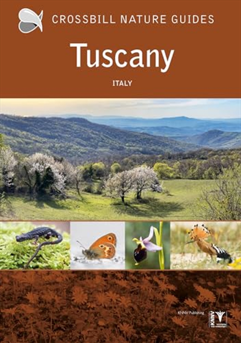 Tuscany : Italy/Product Detail/Travel & Holidays