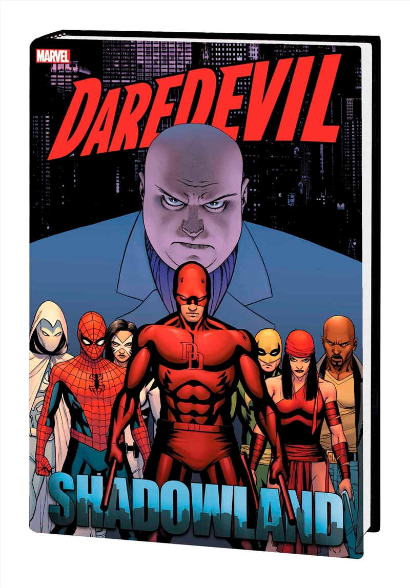 Daredevil Shadowland Omnibus Cassaday Cover/Product Detail/Graphic Novels