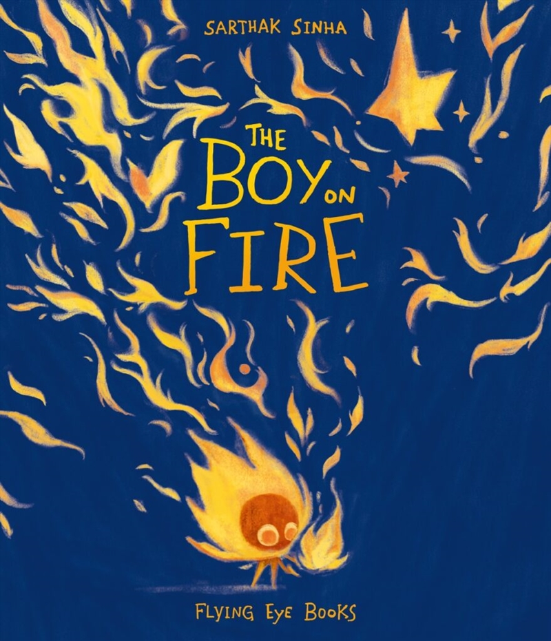 The Boy on Fire/Product Detail/Childrens Fiction Books