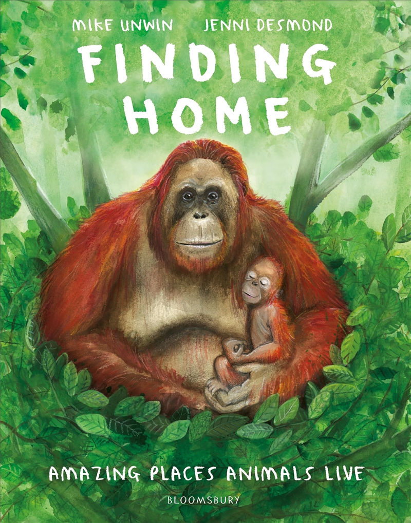 Finding Home/Product Detail/Early Childhood Fiction Books