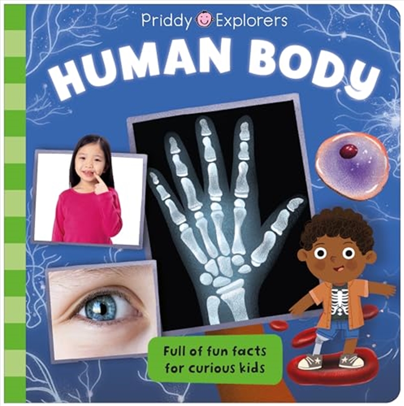 Priddy Explorers Human Body (board Book)/Product Detail/Early Childhood Fiction Books