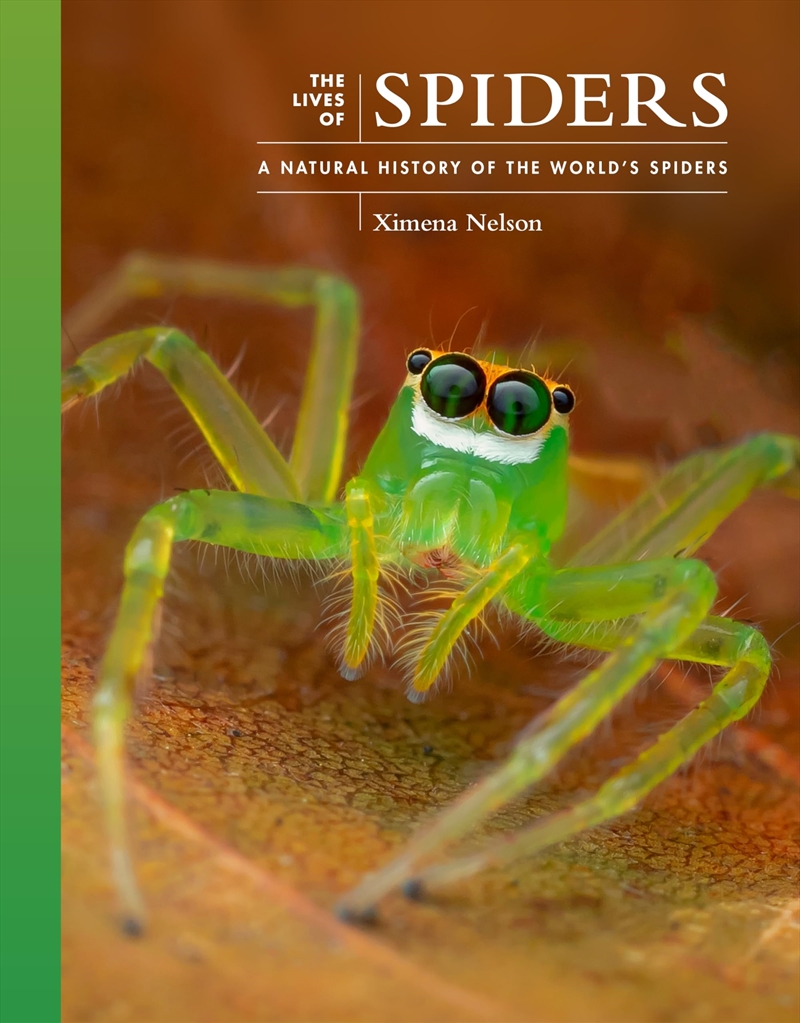 The Lives of Spiders: A Natural History of the World's Spiders (The Lives of the Natural World, 11)/Product Detail/Animals & Nature