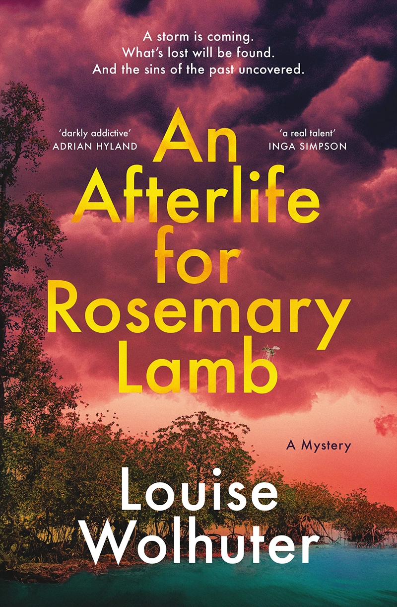 An Afterlife for Rosemary Lamb/Product Detail/Crime & Mystery Fiction