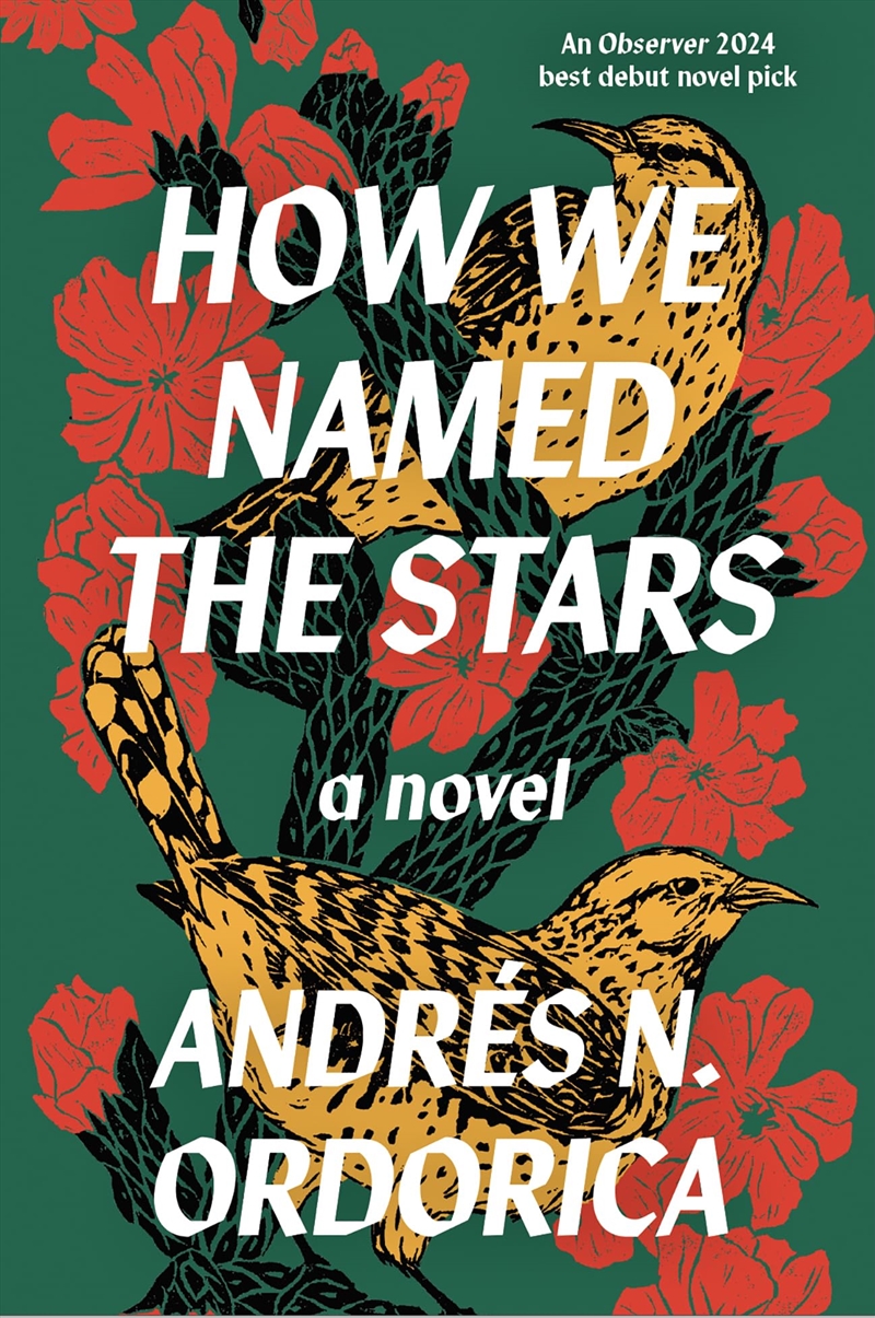 HOW WE NAMED THE STARS/Product Detail/General Fiction Books