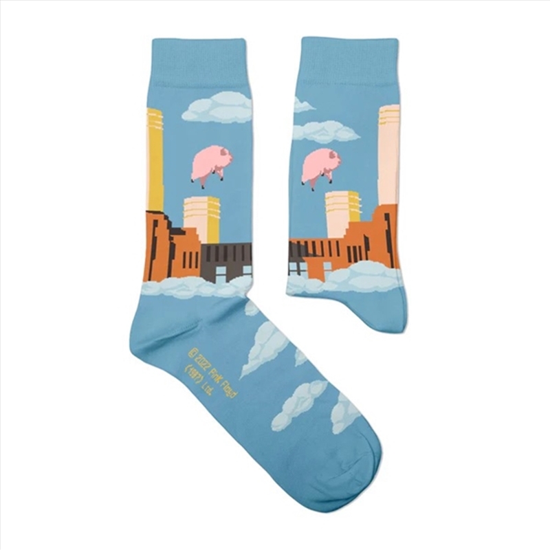 Pink Floyd Animals -  Medium (EUR 36-40/UK 4-7/US 4½-7½)/Product Detail/Socks