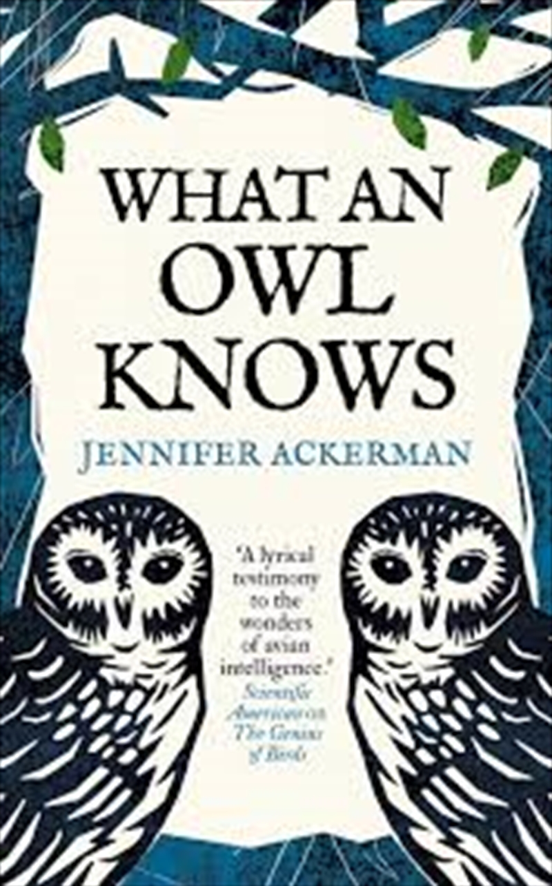 What An Owl Knows/Product Detail/Animals & Nature