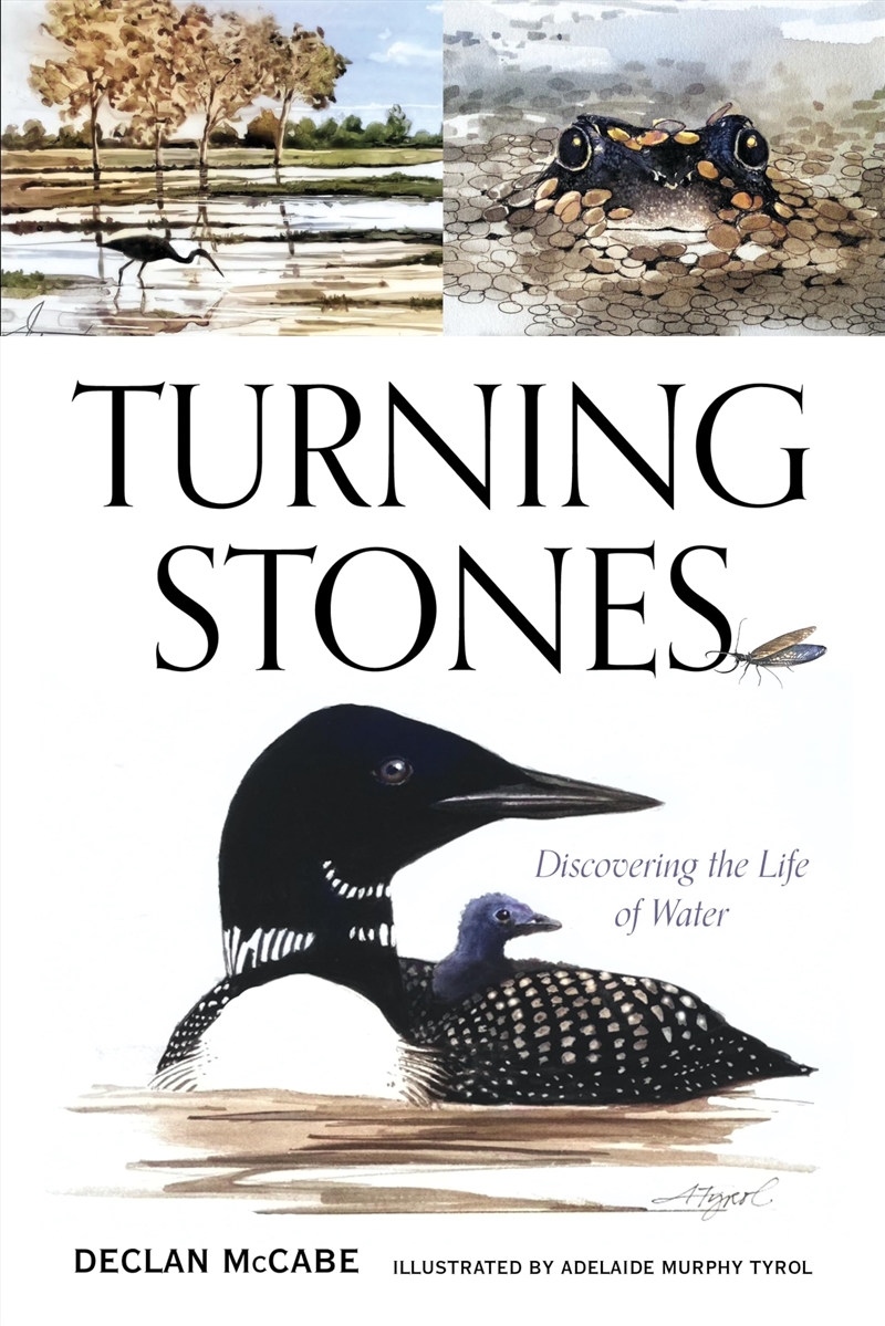 Turning Stones: Discovering the Life of Water/Product Detail/Animals & Nature