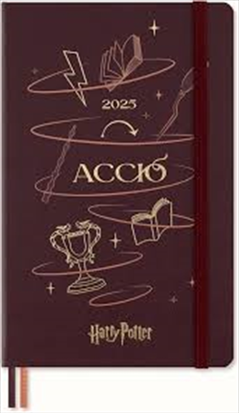 Harry Potter 2025 12 Month Diary/Product Detail/Calendars & Diaries