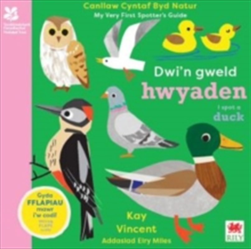 Dwin Gweld Hwyaden I Spot A Duck/Product Detail/Early Childhood Fiction Books