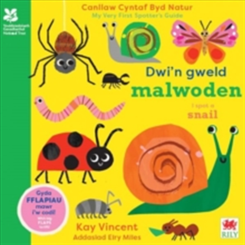 Dwin Gweld Malwoden I Spot A Snail/Product Detail/Early Childhood Fiction Books