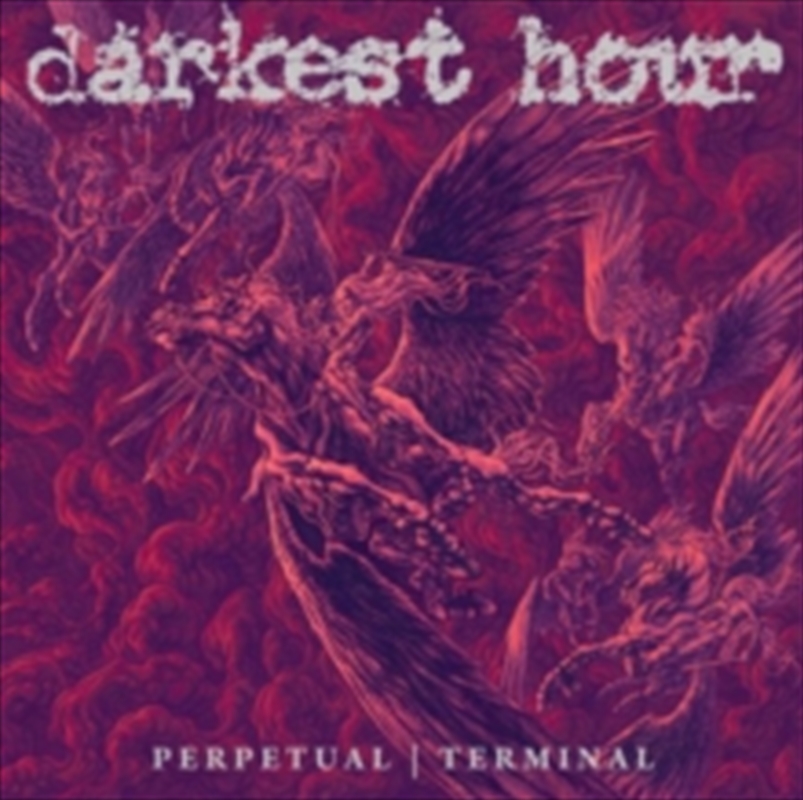 Perpetual  Terminal (Black Vinyl)/Product Detail/Metal