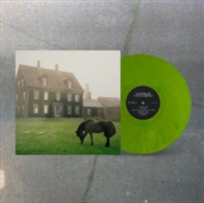 The Academy (Coloured Vinyl)/Product Detail/Rock/Pop