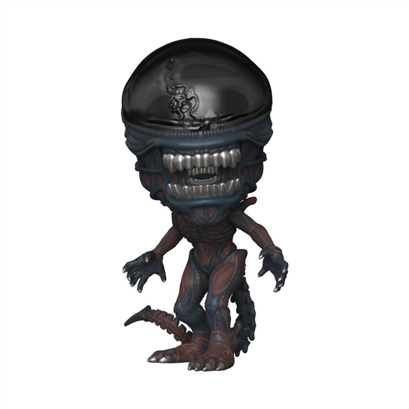 Alien: Romulus - Scorched Xenomorph 6" Pop! Vinyl/Product Detail/Deluxe Pop Vinyl