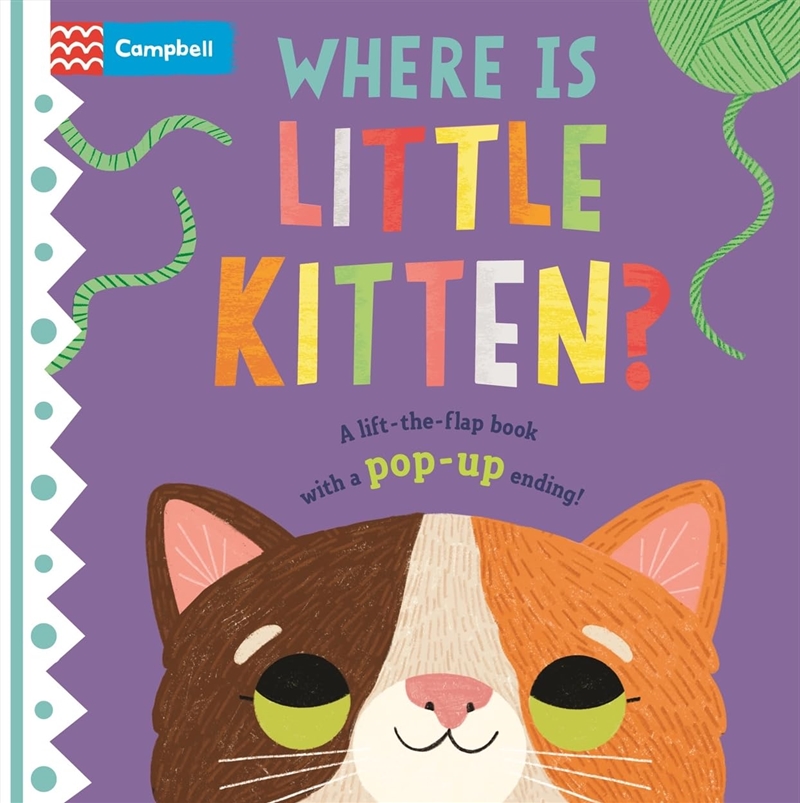 Where is Little Kitten?/Product Detail/Early Childhood Fiction Books