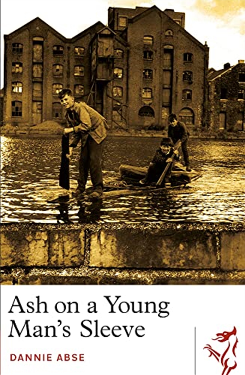 Ash on a Young Man's Sleeve (Library of Wales)/Product Detail/General Fiction Books