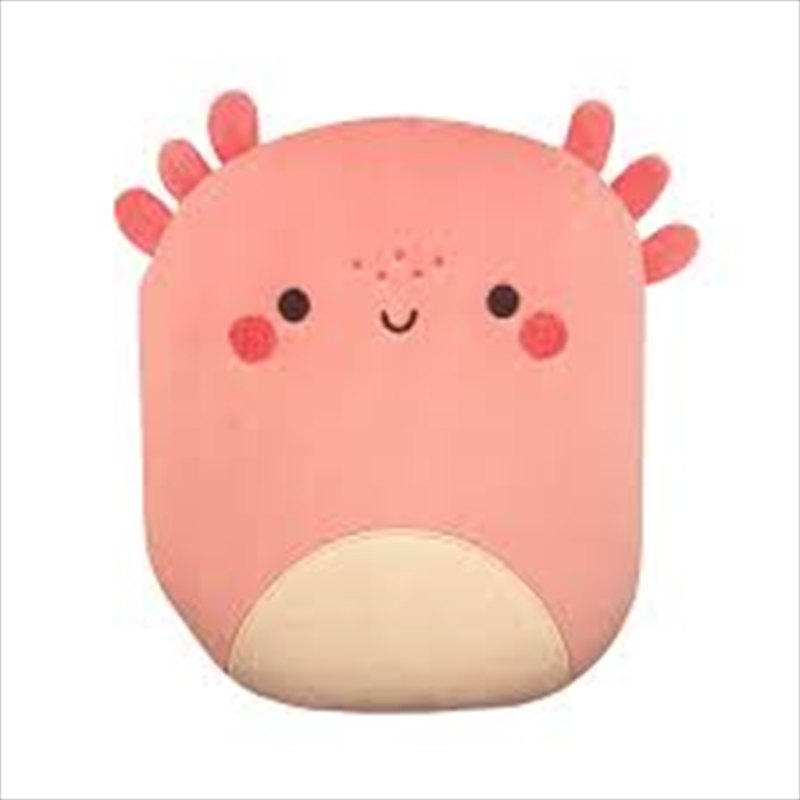 Squish & Snugg Groovy Axolotl/Product Detail/Childrens