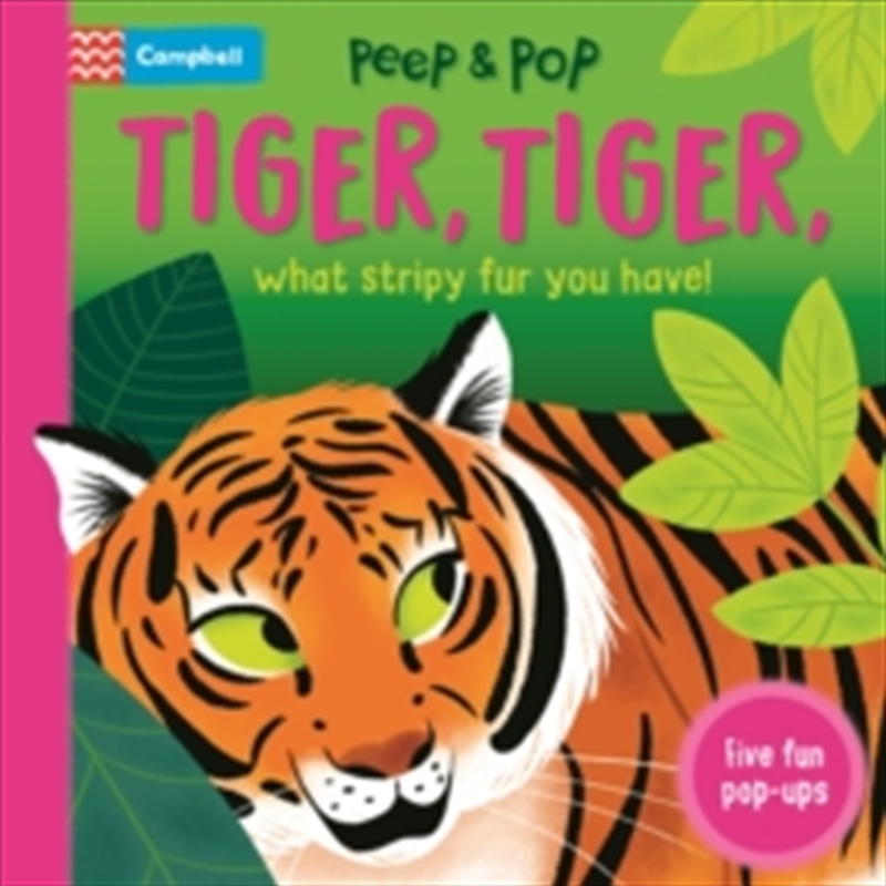 Tiger Tiger What Stripy Fur You Have!/Product Detail/Early Childhood Fiction Books